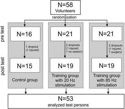 The Impact of Whole-Body Electromyostimulation on Body Posture and Trunk Muscle Strength in Untrained Persons